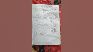 Eschenmoser Reaction | csir net | #short | #shortvideo