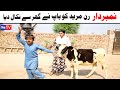 Number Daar Run Mureed Ko Baab Ne Ghar New Funny Video Most Comedy Funny Video You Tv Hd 2025