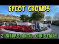 How are crowds at Walt Disney World? | EPCOT 2 Weeks Until Christmas