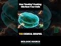 EP.03 - 02 - How "Healthy" Cooking Oils Rust Your Cells