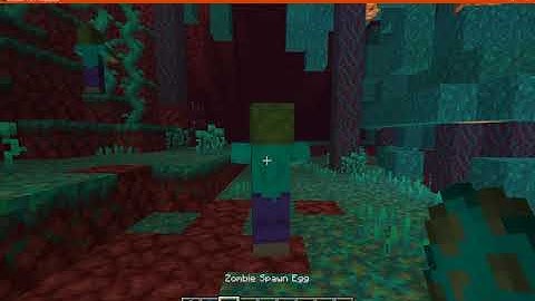 Block Ping 1.16.1 Fabric Mod Overview