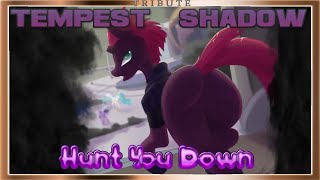 Tempest Shadow Tribute: Hunt You Down