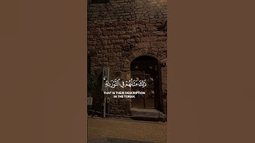محمد اللحيدان | سورة الفتح