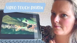 Tablet activiteit #17 - Video Touch Dieren | Onder Een Dak screenshot 5