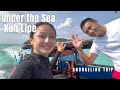 Koh Lipe Snorkel Tour | Under The Sea 🤿 🐠 | Beautiful Colourful Soft Corals!!!