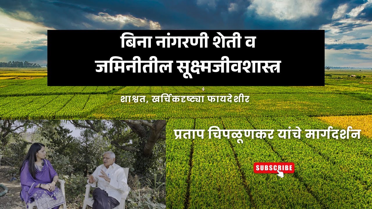 नांगरणी विना शेतीची संकल्पना आणि जमिनीतील सूक्ष्मजीवांचे महत्त्व | प्रताप चिपळूणकर यांचे मार्गदर्शन