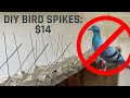 Keep Pigeons and Birds Away with $14 DIY Bird Spikes