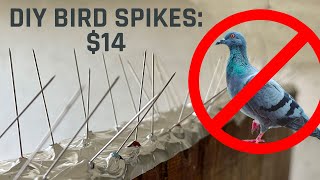 Keep Pigeons and Birds Away with $14 DIY Bird Spikes