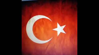 Aykut Elmas Amerika Da Dilenci Türkiye De Dilenci Bana Para Ver