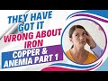 The Truth About Iron, Copper & Vitamin A Toxicity With Expert Morley Robbins