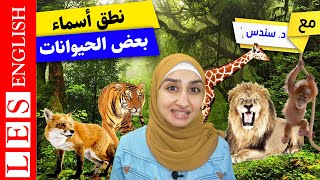 اسماء الحيوانات بالانجليزي | اهم الكلمات الانجليزية المستخدمة في الحياة اليومية