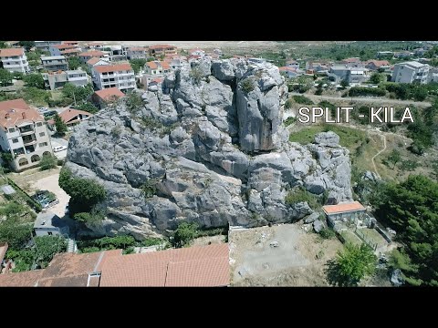 Video: Što je pretpotopni saurian?