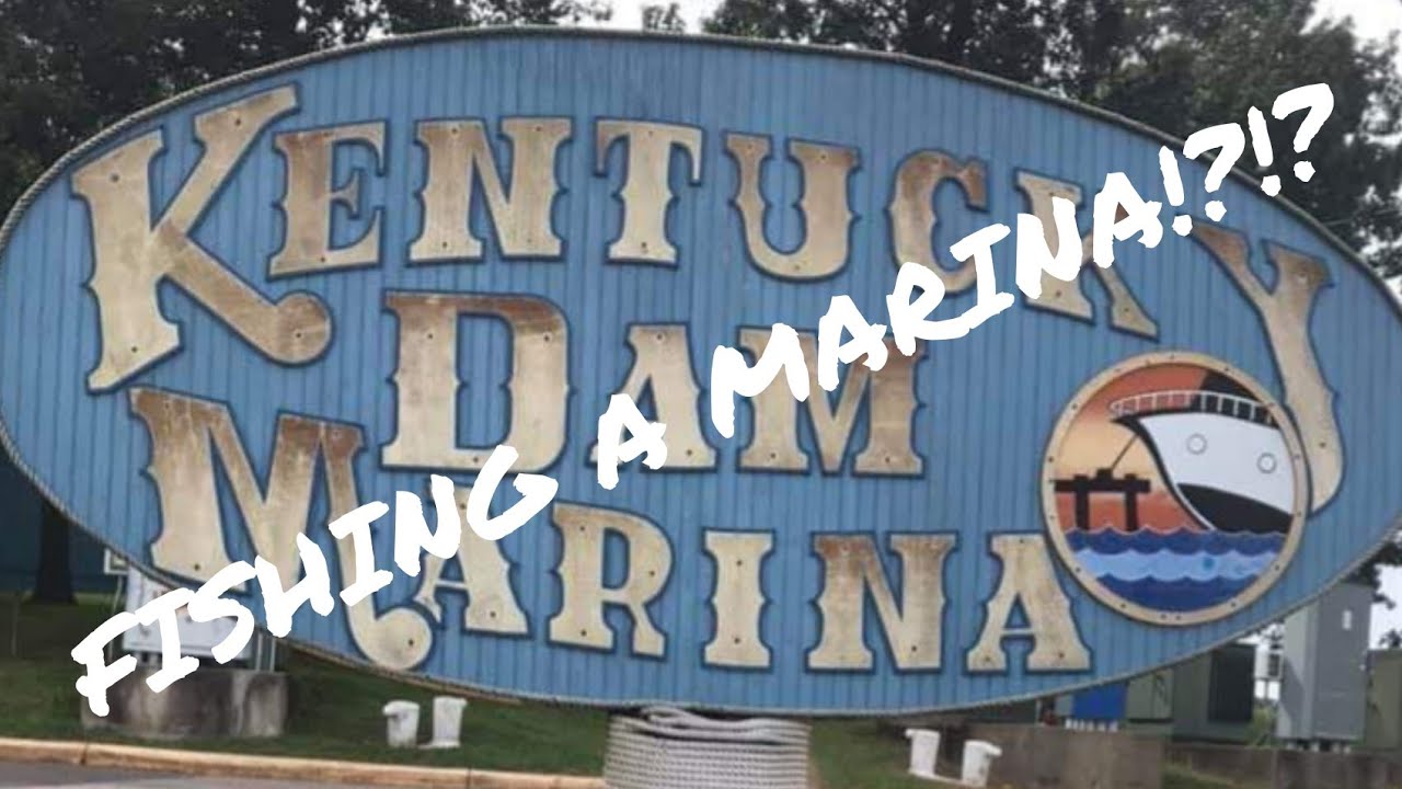 Bank Fishing Kentucky Dam Marina!!!/Kentucky Lake Trip - YouTube