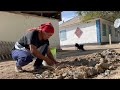 How A Woman Lives In A Remote Village In Kazakhstan Cooking Manti With Pumpkin How A Woman Lives In A Remote Village In Kazakhstan Cooking Manti With Pumpkin