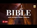 NIV Holy Bible – Discover Peace and Joy in Scripture 🔴 BibleVision LIVE