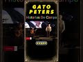 # SHORTS 🇦🇷 # GATO PETERS 🇦🇷 # &quot;HISTORIAS DE CAMPO&quot; 🇦🇷 # LA  RISA ES SALUD 🇦🇷