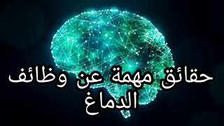 حقائق مهمة عن وظائف الدماغ