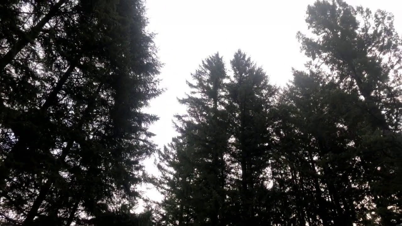 8:12 am - YouTube