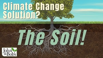Climate Change Solution | It