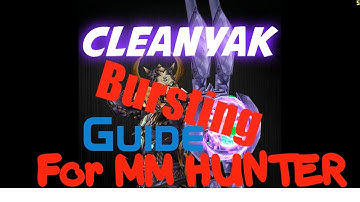 MM Hunter Burst Guide for PvP in 5.3