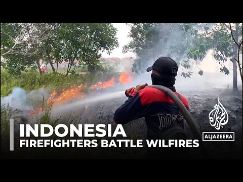 Indonesia battle wildfires in kalimantan, rejects blame for smog drifted to malaysia