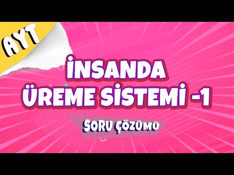 İnsanda Üreme Sistemi -1 Soru Çözümü |  AYT 2022 #hedefekoş