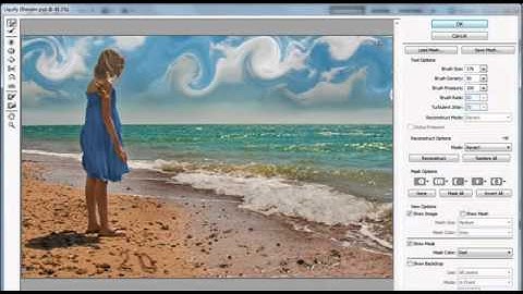 Oil Painting Effect in Photoshop CS5 & Pixel Bender