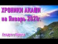 🔹Хроники Акаши на Январь 2021г.-ченнелинг