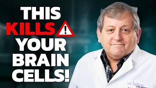 Boosting Brain Power The Science of Neurogenesis