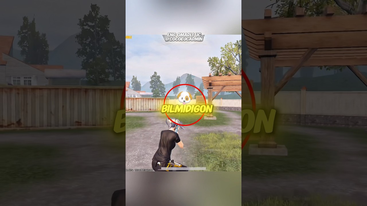 100% itam bilmidigan bag 🔥🐶 