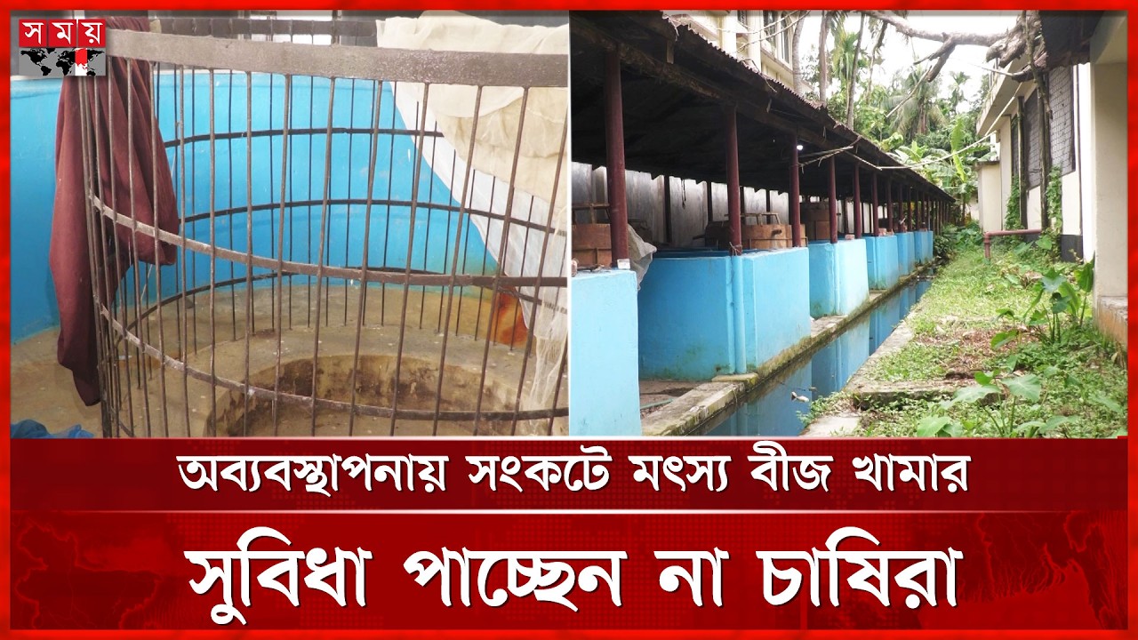 লোকবল সংকটে ব্যাহত মৌলভীবাজারের মৎস্য বীজ উৎপাদন খামারের কার্যক্রম | Moulvibazar | Hatchery