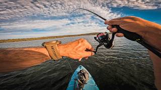 🔴 "Directo" Pesca PESADA y Light desde Paddle