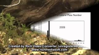 Famous A Taylor's Lakeside Jr SCIENCE PROJECT video : Can Evolution Go Backwards ? Wealth