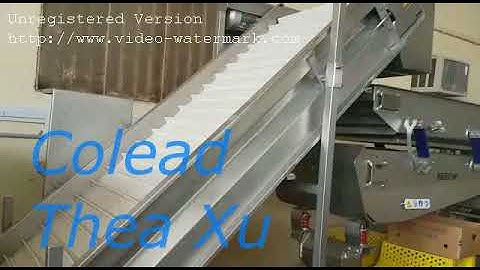 Vibrating elevator/Dates process/Colead dates line/washing machine
