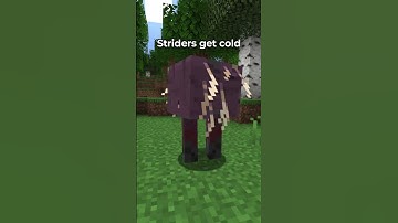 MOST HELPFUL STRIDER TIP