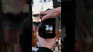 A Quiet Look at the Forbidden City | through the Hasselblad X2D II 100C