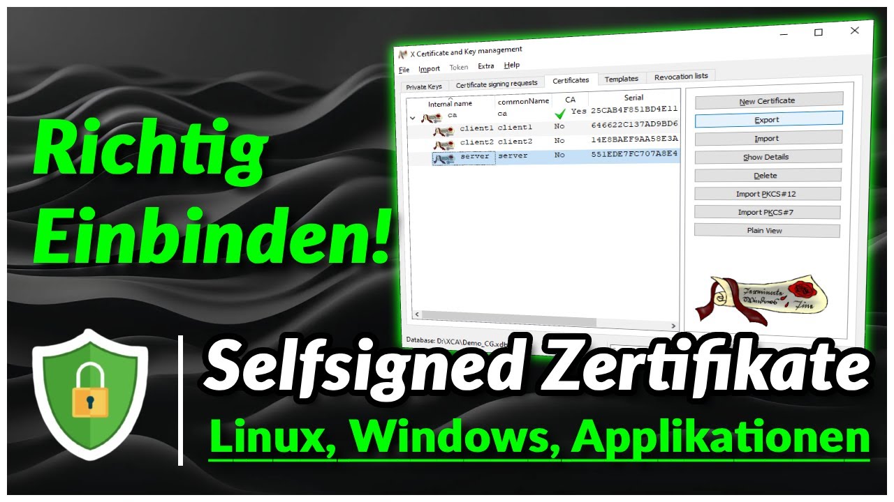 🔐 Self-Signed Zertifikate RICHTIG einbinden Windows, Linux & Browser ...