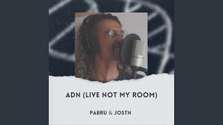 Video thumbnail of "Pabru - ADN (Live Not My Room)"