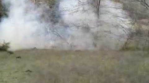 Exploding Target takes out tree