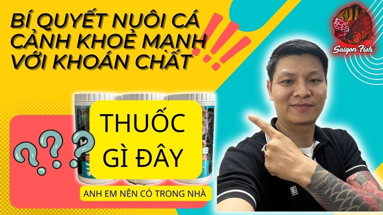 Bí quyết nuôi cá la hán và cá cảnh khoẻ mạnh ít bệnh với khoán chất đến từ Thái Lan rất hiệu quả