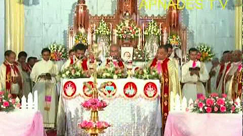 centenary celebration part 2.mp4