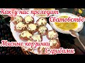 Как у нас проходит сватовство / Мясные корзинки с грибами.