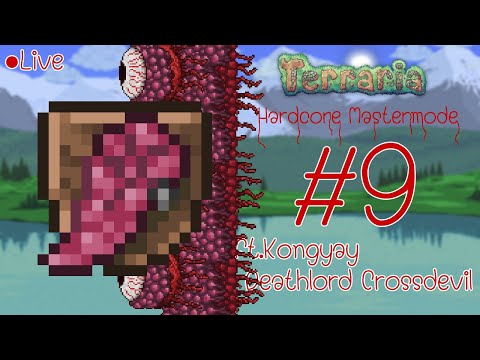 ถึงเวลา กำจัดกำแพง  : Terraria Hardcore Mastermode ตอนที่ 9