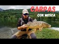 Pesca de CARPAS con Mosca