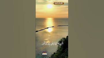 قرآن الصباح... أجمل تلاوة صباحية تهدئ النفوس 🌄💚