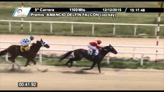 Vidéo de la course PMU AMANCIO DELFIN FALCON