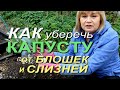 ПОСЛЕ ЭТОГО ВРЕДИТЕЛИ ОБОЙДУТ КАПУСТУ СТОРОНОЙ! Советы от ЗЕЛЕНОГО ОГОРОДА!