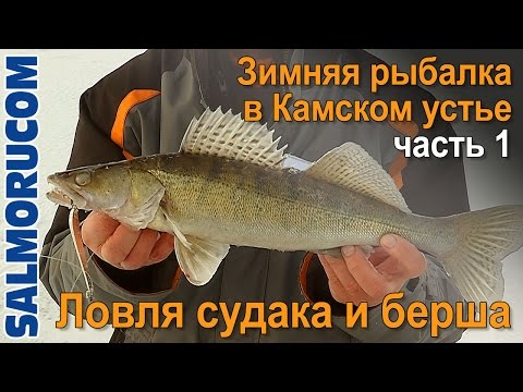 Зимняя рыбалка в Камском Устье - ловим берша и судака