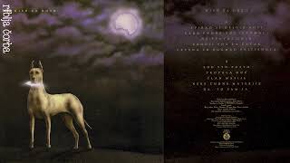 Riblja Čorba - Crvena Su Dugmad Pritisnuta 