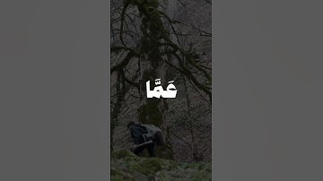 سورة إبراهيم | #quran #المنشاوي